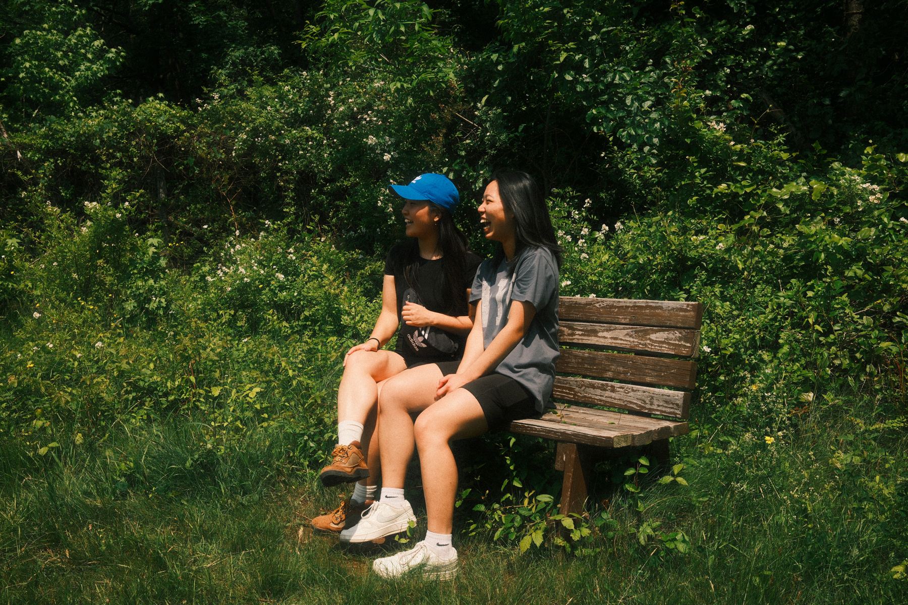 Park bench